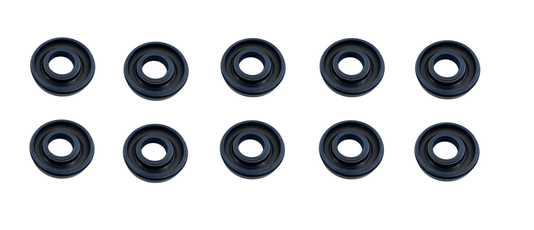 10 peças de Retentor 25x43x10 LX SAV 06173.0 (00506) - KIT