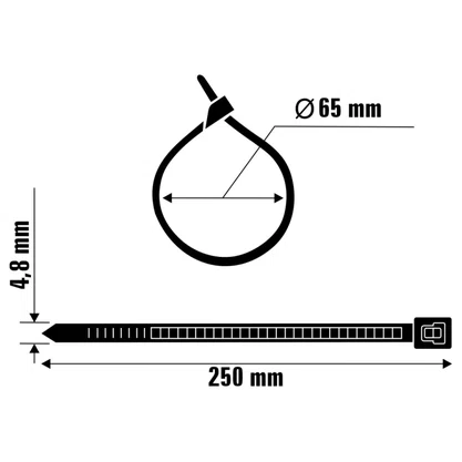 Kit 100 Abraçadeira Nylon 250X4,8Mm Pt Ajax