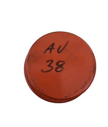Acoplamento Elástico AV 38