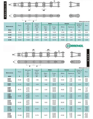 Corrente Passo Longo C2060H TWE - 1 Metro