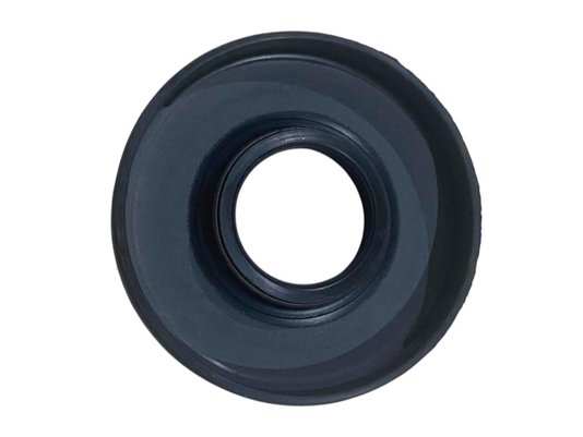 Retentor 25x62x10 Lx Sav 05063.0
