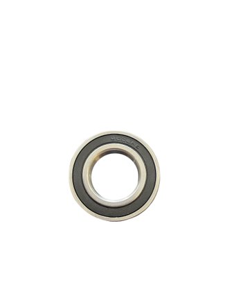 Rolamento 6006 DDU C3 WHX