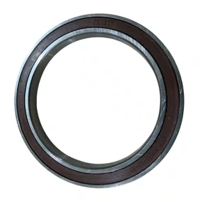 Rolamento 6810 DDU 2RS NSK 50X65x7mm Alta Rotação