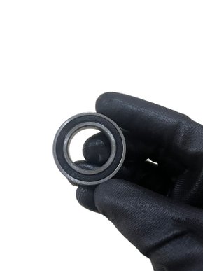 Rolamento 6905 DDU WHX