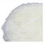 Boina Polimento 5 Noll