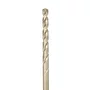 Broca Ar 19,0Mm Gold Ferrous Dewalt