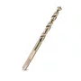 Broca Ar 19,0Mm Gold Ferrous Dewalt