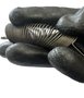 Mola C04 23X41x1,0mm mais Ganchos Mola C04 23X41x1,0mm mais Ganchos